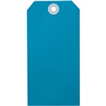AVERY 16120 SHIPPING TAG SIZE 6 134 X 67MM BLUE BOX 1000