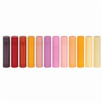 ZART WARM EARTH PAINT SLICKS ASSORTED PACK 12