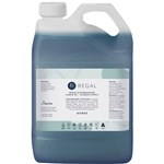 REGAL CLASSIC DISHWASHING LIQUID APPLE PERFUME 5 LITRE